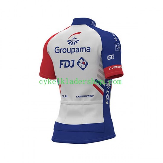 2018 FDJ Män Cykeltröja Kortärmad N001