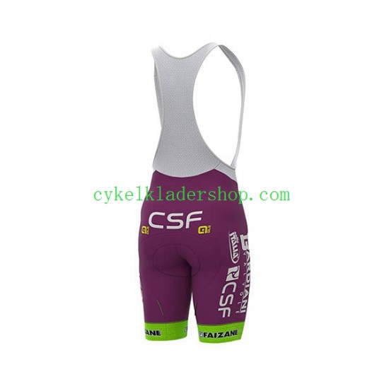 2020 Bardiani–CSF Män Bib Cykelshorts N001